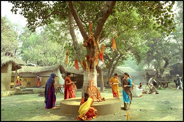 Importance of Pitru Paksha and Tree